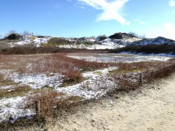 De Panne in de sneeuw (België)